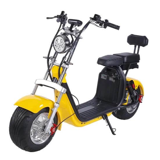 Citycoco 전기 스쿠터 2 바퀴 두꺼운 타이어 인기 있는 2000W 60V CE, 이동식 리튬 배터리 1500W-2000W 30-50km/h 6-8 시간