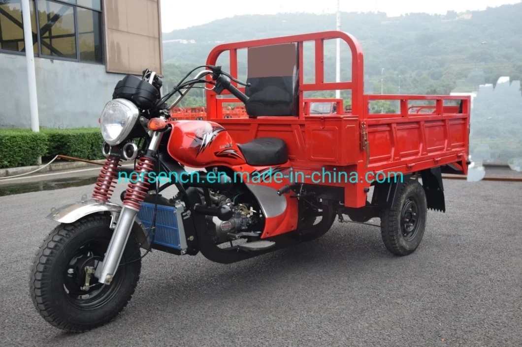 Three Wheel Gasoline Motorcycle Big Tricycle with Cargo Box C4 11